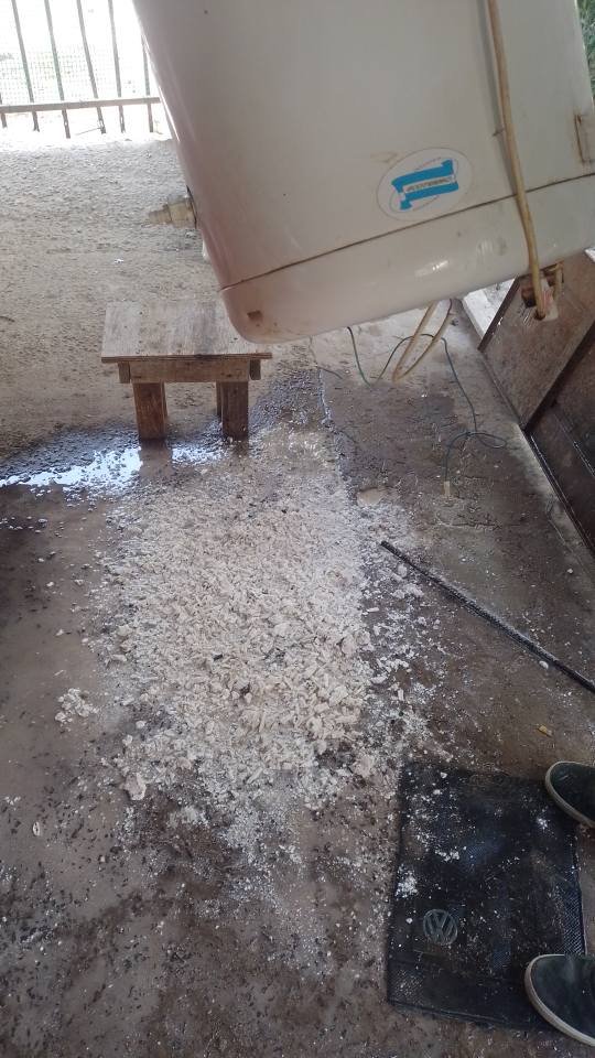 Trabajo realizado